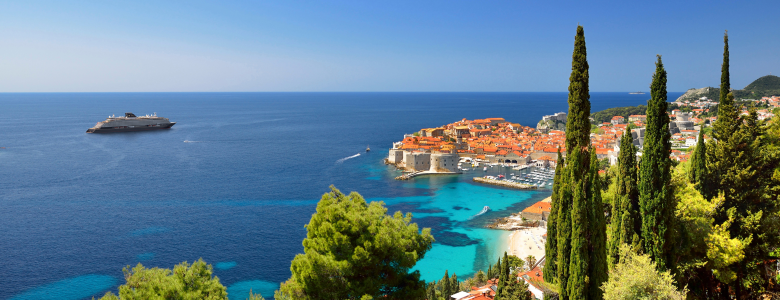 width: 780px; height: 300px;