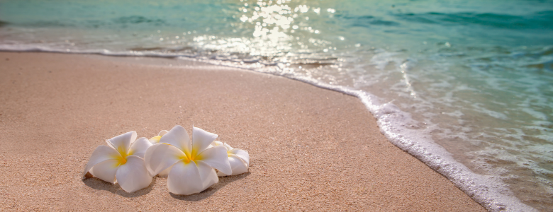 width: 780px; height: 300px;